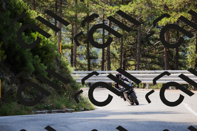 202508161034-_04A0364_c3