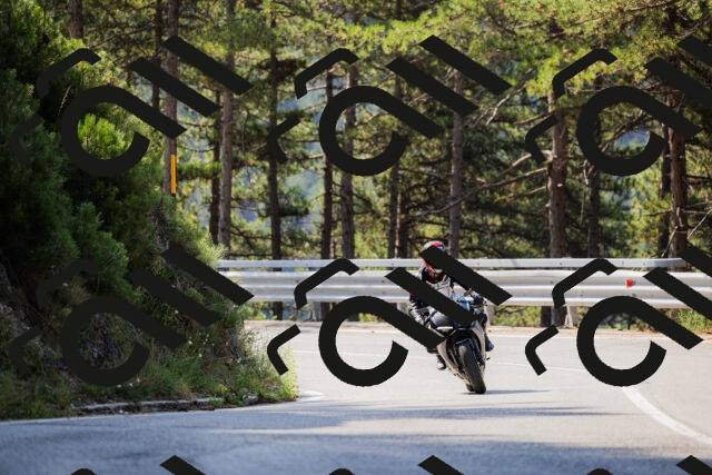 202508161034-_04A0365_c3