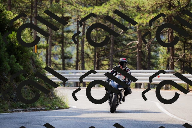 202508161034-_04A0366_c3