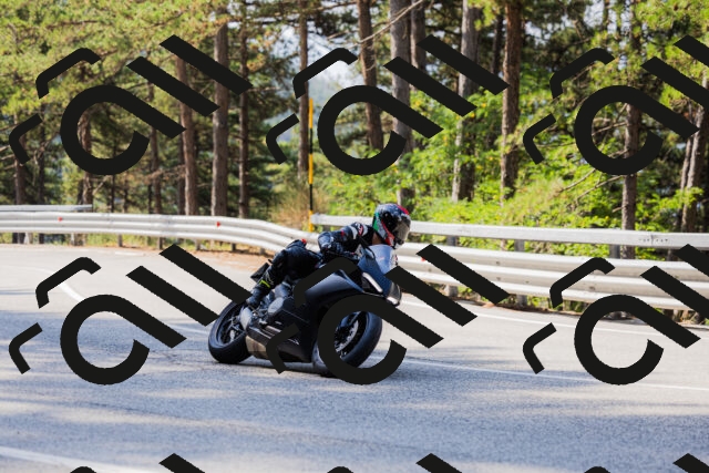 202508161034-_04A0368_c3