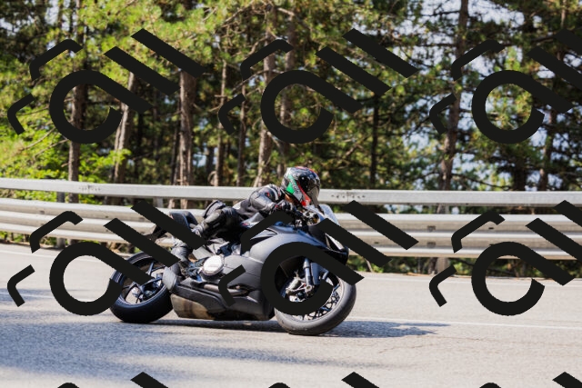 202508161034-_04A0369_c3