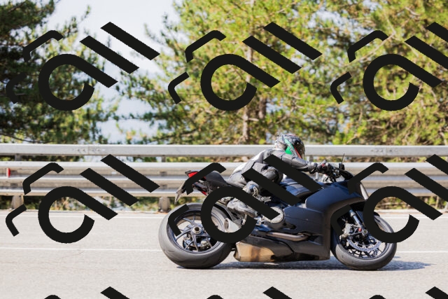 202508161034-_04A0370_c3