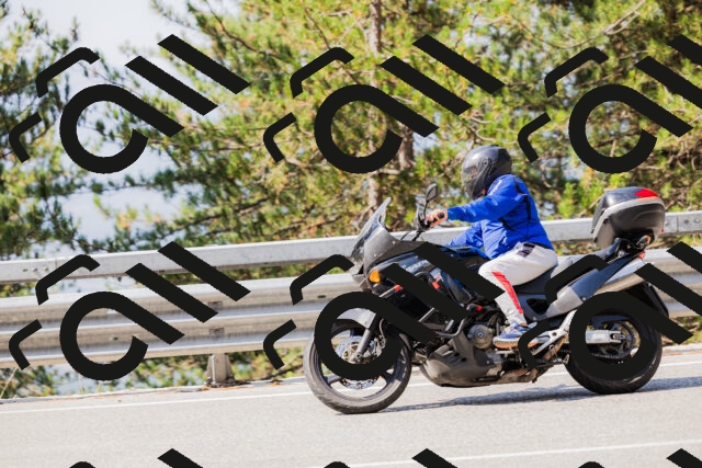 202508161036-_04A0373_c3