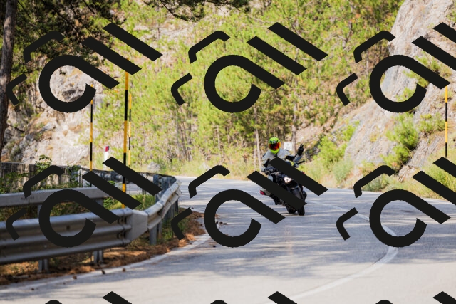 202508161039-_04A0374_c3