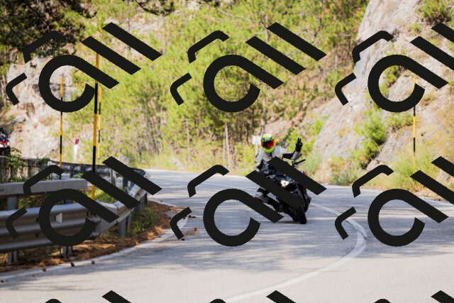 202508161039-_04A0375_c3