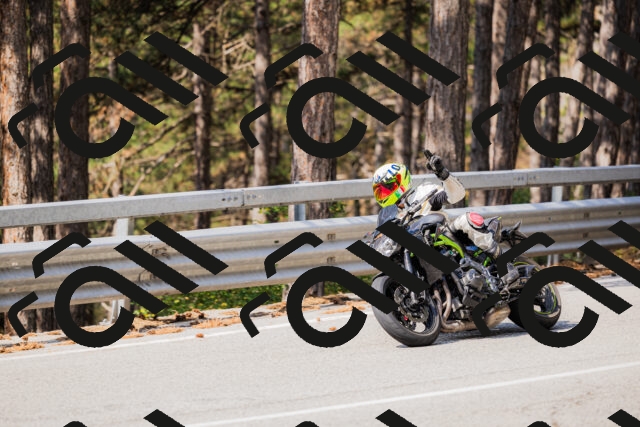 202508161039-_04A0376_c3