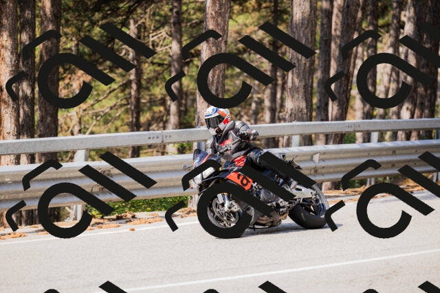 202508161039-_04A0379_c3