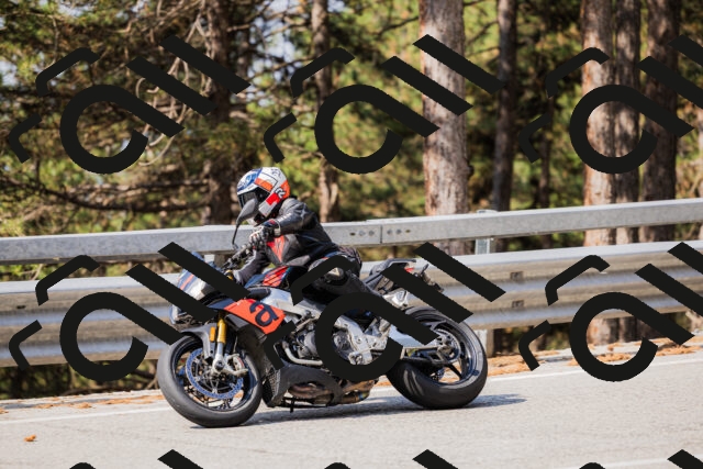 202508161039-_04A0380_c3