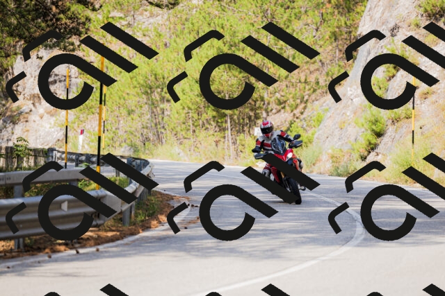 202508161040-_04A0381_c3