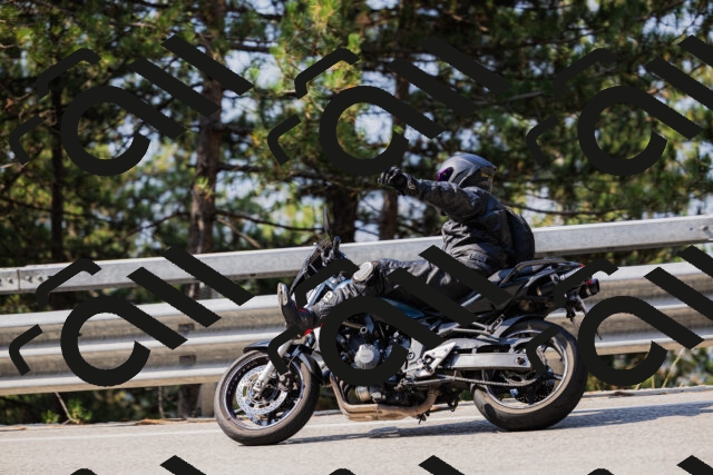 202508161040-_04A0389_c3