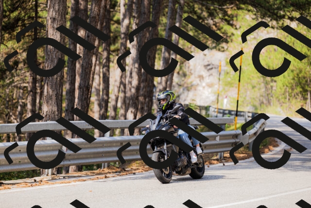 202508161040-_04A0390_c3