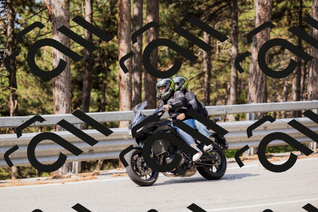 202508161040-_04A0391_c3