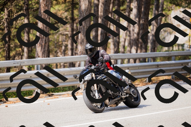 202508161040-_04A0394_c3