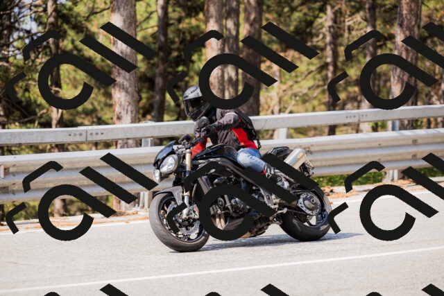 202508161040-_04A0395_c3