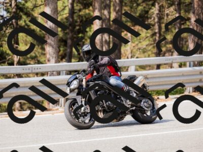 202508161040-_04A0395_c3