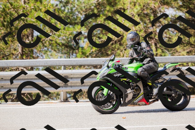 202508161041-_04A0400_c3