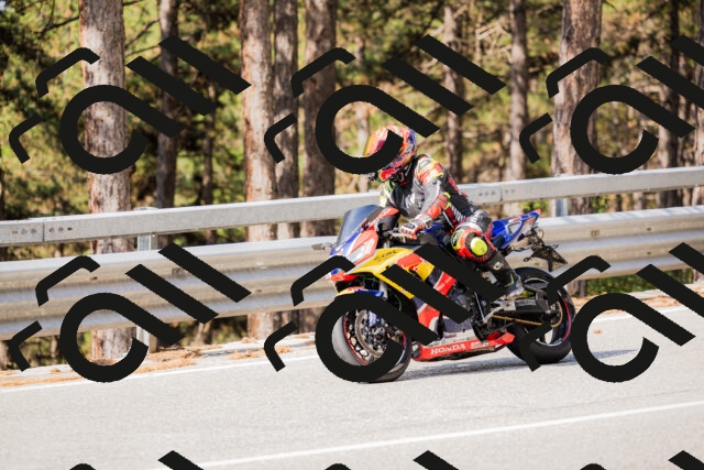 202508161041-_04A0402_c3