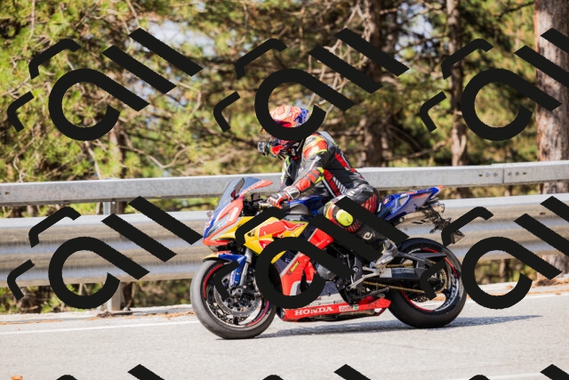 202508161041-_04A0403_c3