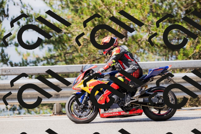 202508161041-_04A0404_c3