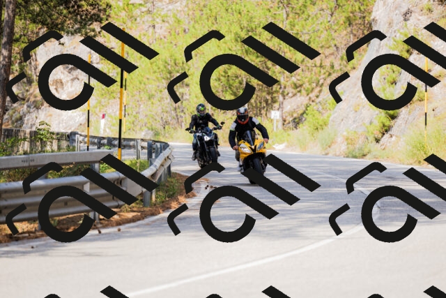 202508161041-_04A0405_c3