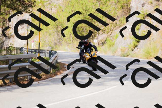 202508161041-_04A0406_c3