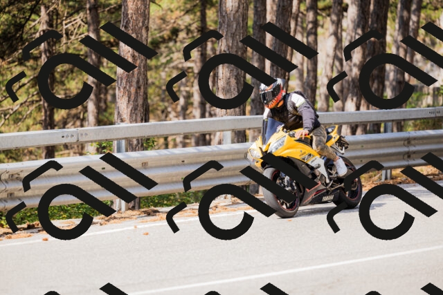 202508161041-_04A0407_c3