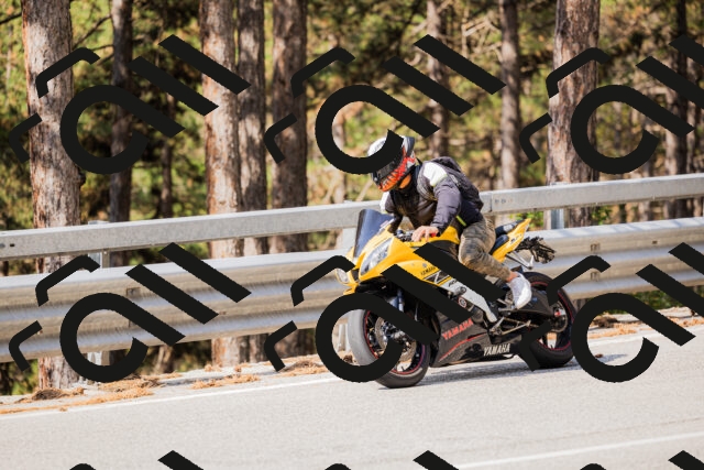 202508161041-_04A0408_c3