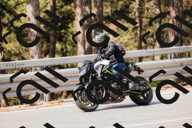 202508161041-_04A0409_c3