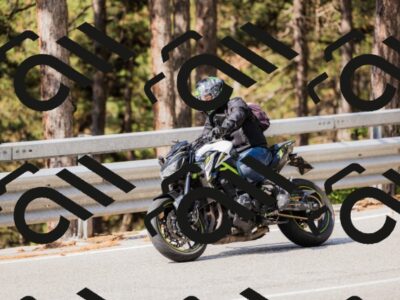 202508161041-_04A0409_c3