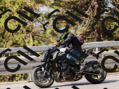 202508161041-_04A0410_c3