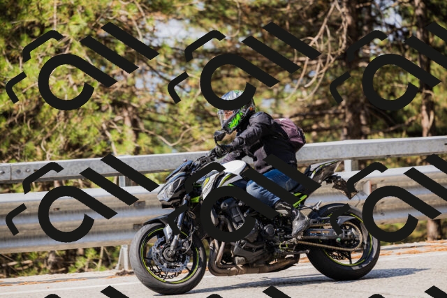 202508161041-_04A0410_c3