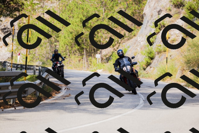 202508161043-_04A0411_c3