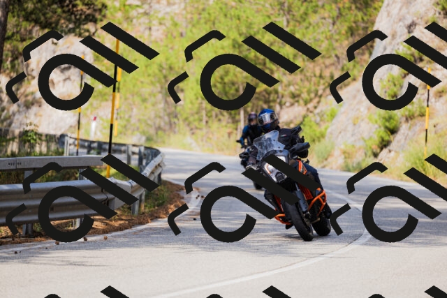 202508161043-_04A0412_c3