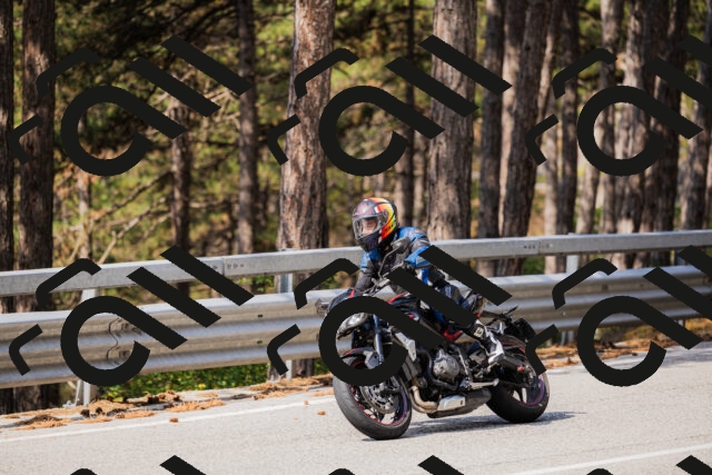 202508161043-_04A0415_c3