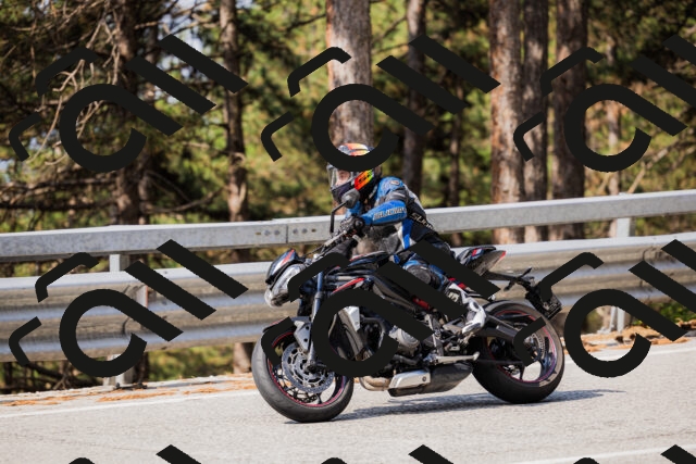 202508161043-_04A0416_c3