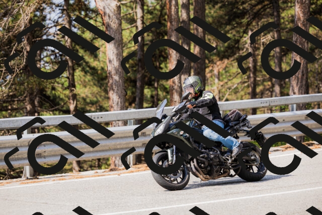 202508161044-_04A0417_c3