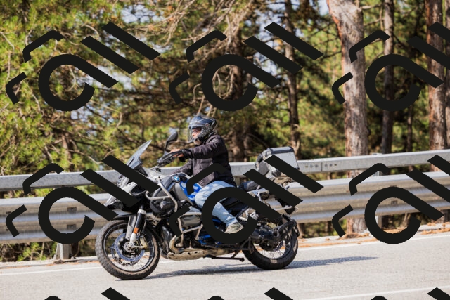 202508161044-_04A0418_c3