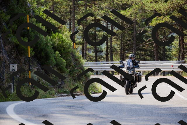 202508161044-_04A0420_c3