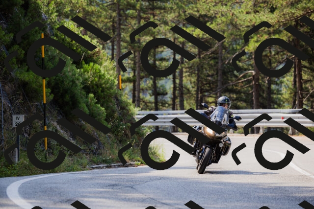 202508161044-_04A0421_c3