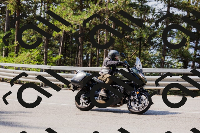 202508161044-_04A0423_c3