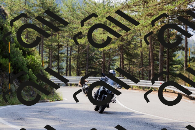 202508161044-_04A0425_c3