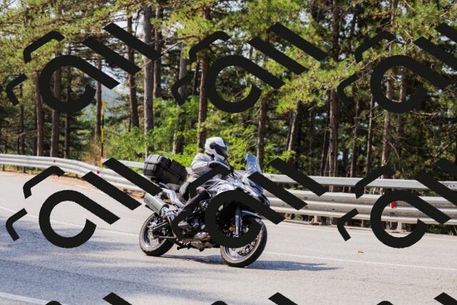 202508161044-_04A0426_c3