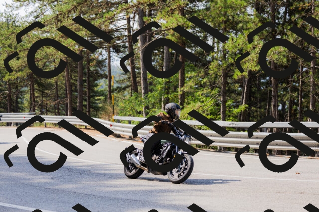 202508161044-_04A0428_c3