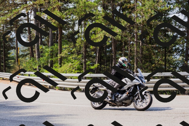 202508161044-_04A0429_c3