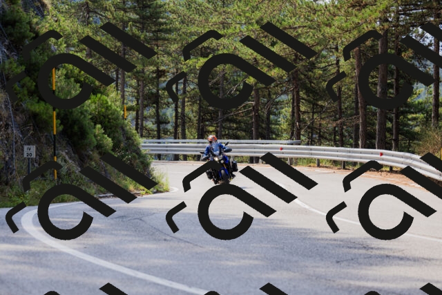 202508161049-_04A0432_c3