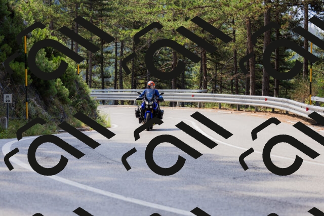 202508161049-_04A0433_c3