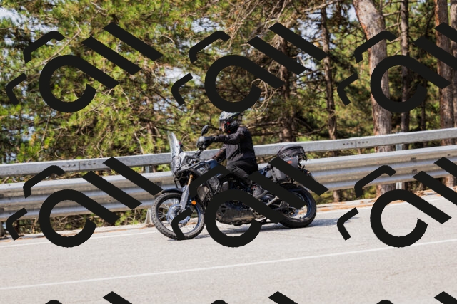 202508161050-_04A0437_c3