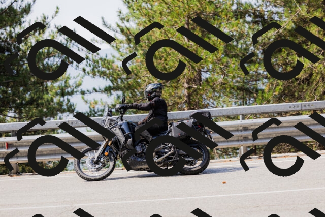 202508161050-_04A0438_c3