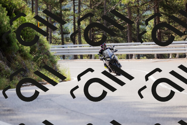 202508161054-_04A0443_c3