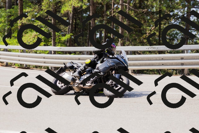 202508161054-_04A0447_c3